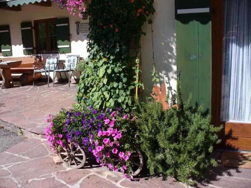 Haus Hirschpoint Ferienwohnungen Ramsau bei Berchtesgaden Exterior foto